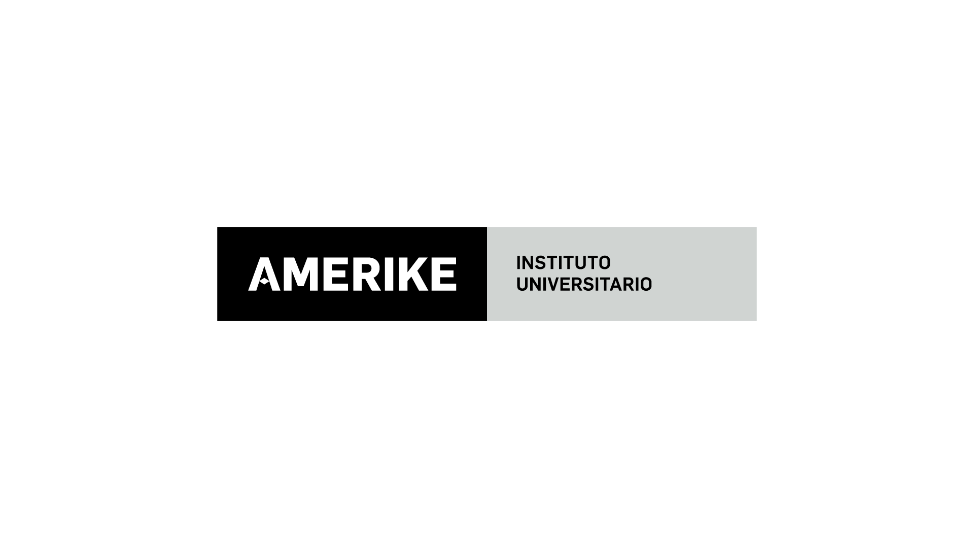 Instituto Universitario Amerike 