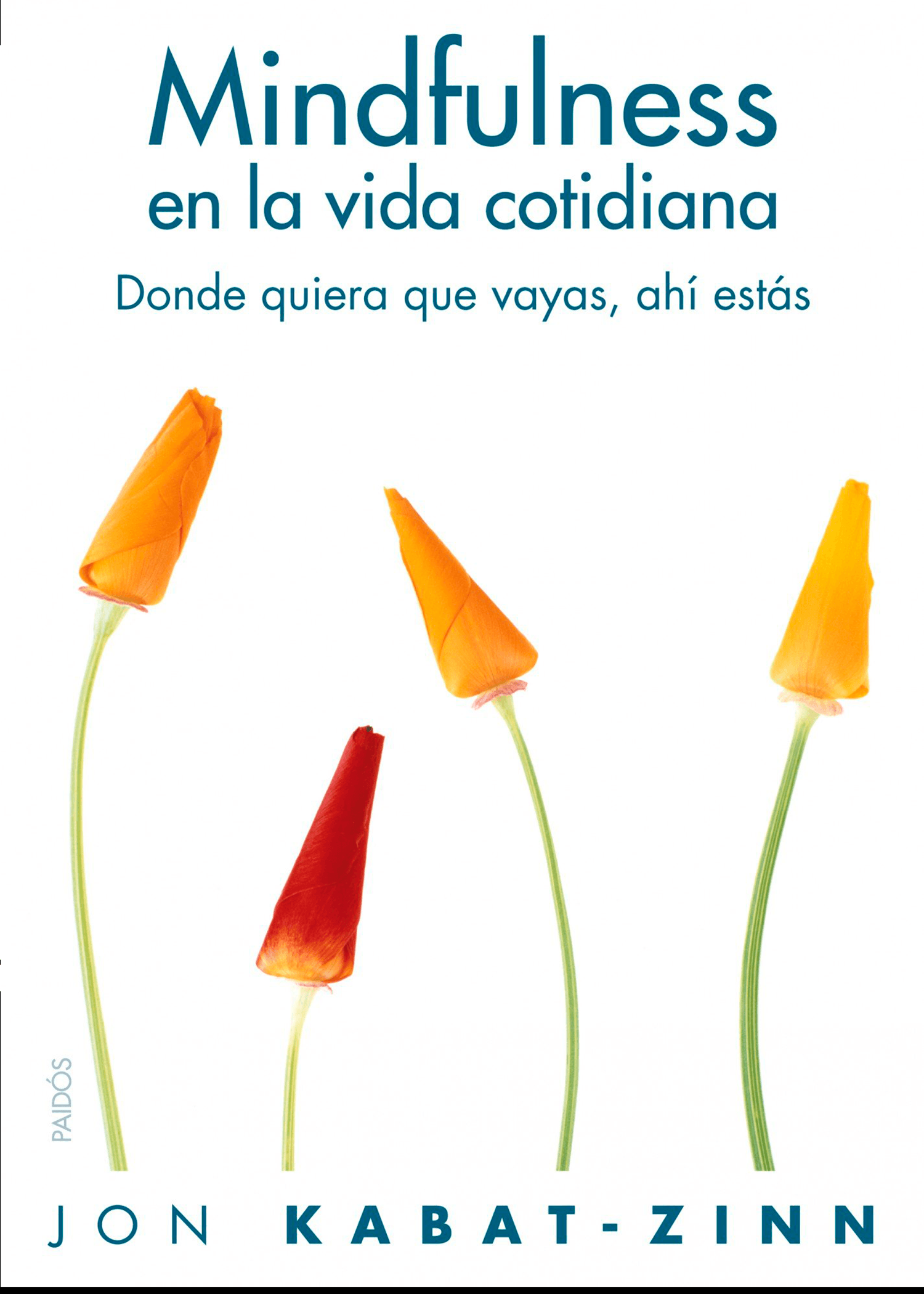 Mindfulness en la vida cotidiana. Donde quíera que vayas, ahí estás