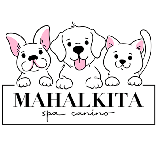 Mahalkita